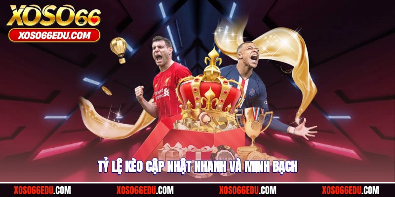 Tỷ lệ kèo cập nhật nhanh và minh bạch